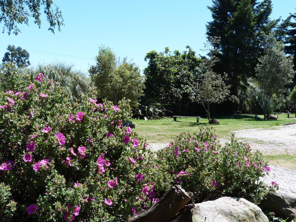 Fernwood Holiday Park Motueka Rum bild
